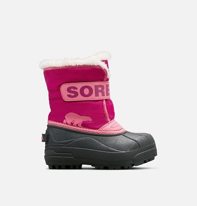 Sorel Snow Commander Boots UK - Kids Boots Pink (UK1907628)